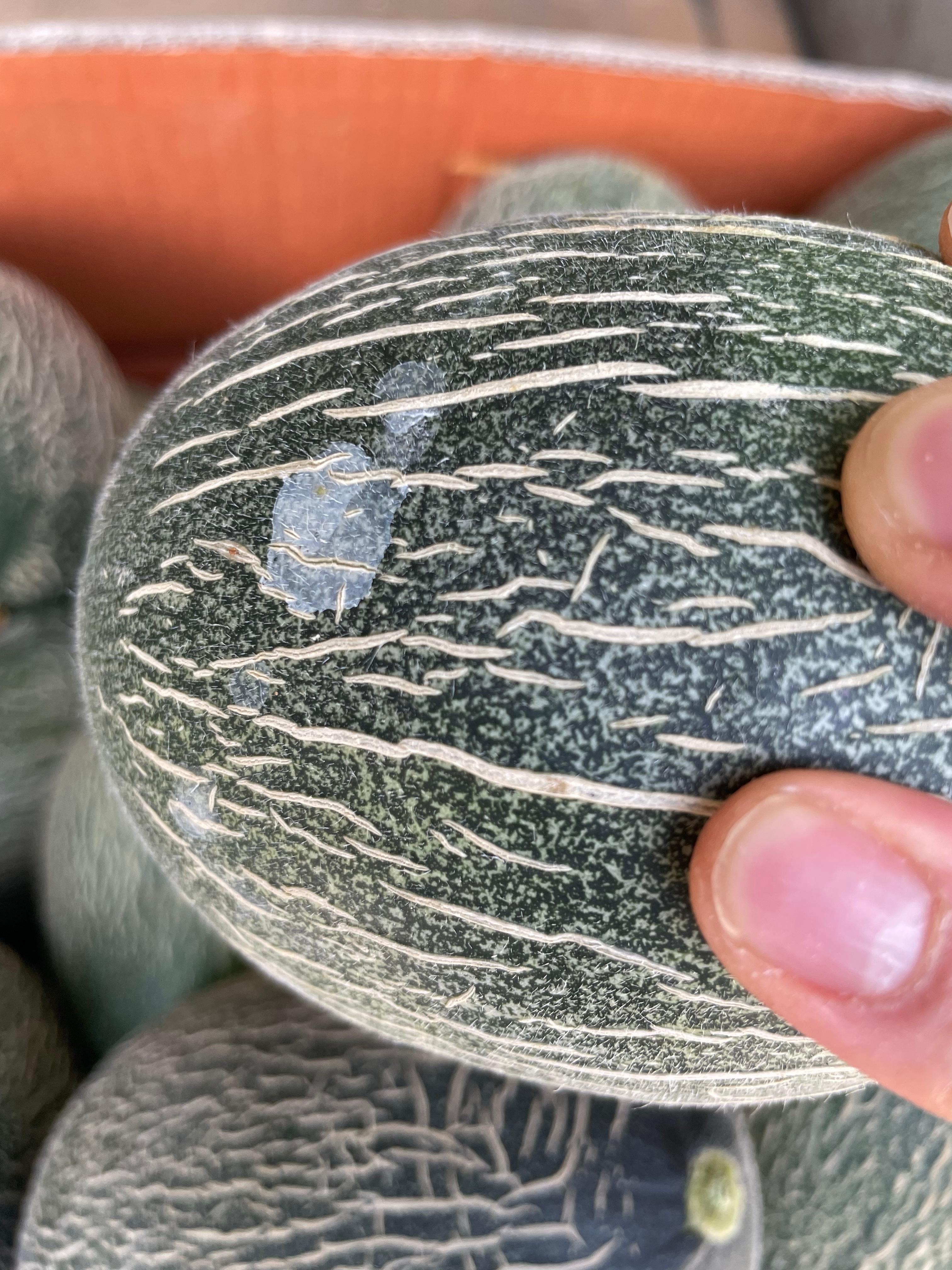 하미과멜론 건강