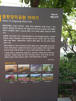 중랑장미공원 이야기 사진