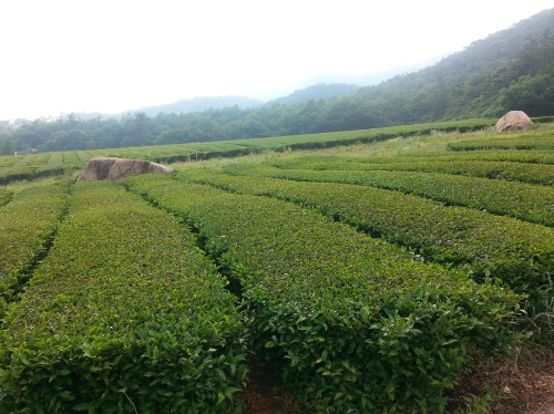 여름추천여행지