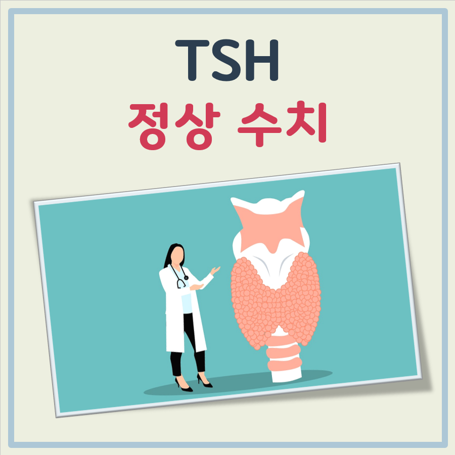 TSH 정상수치, 높으면 낮으면 의미, 알아둘 점
