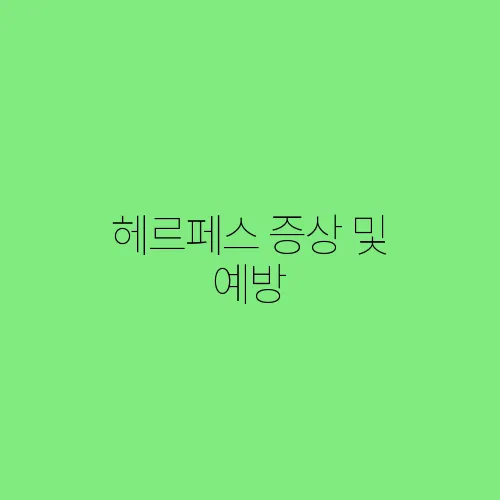헤르페스 증상 및 예방