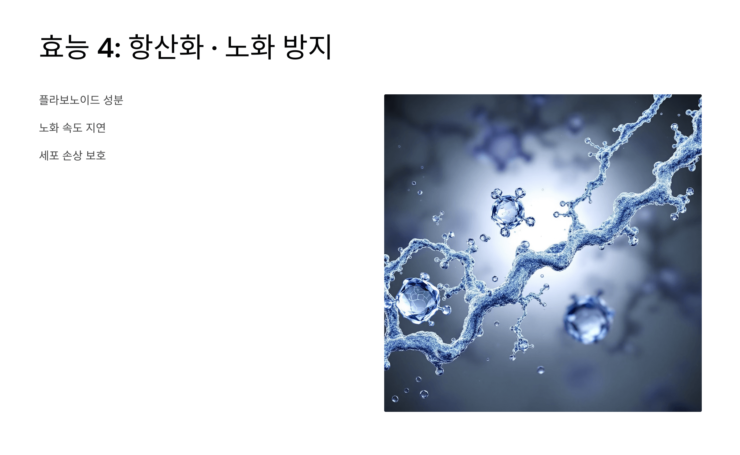 맥문동 사진입니다.