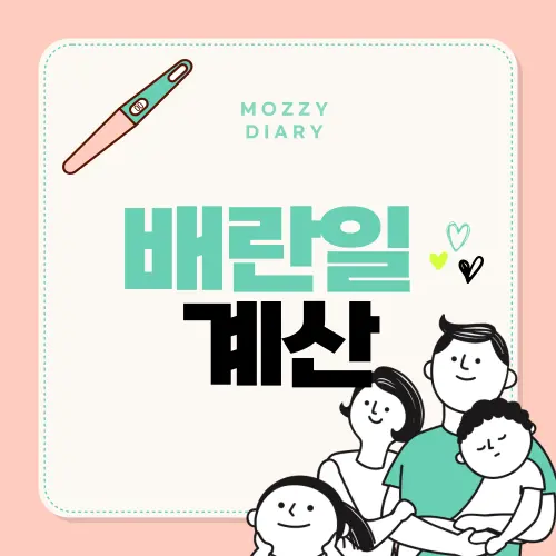 배란일 계산기 100% 활용법- 예비맘이 꼭 알아야 할 임신 성공 전략