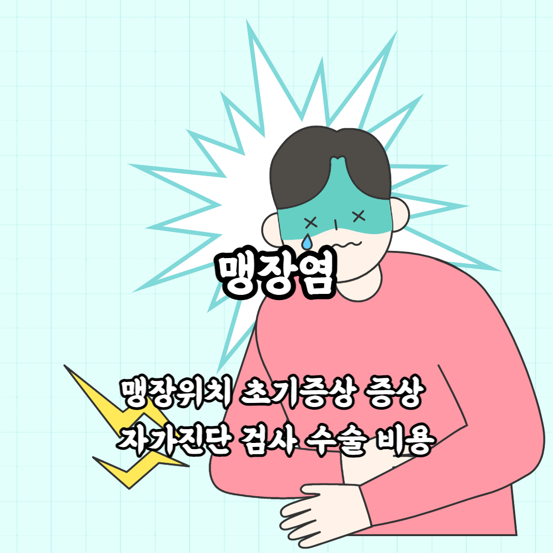 맹장염 맹장위치 초기증상 증상 자가진단 검사 수술 비용