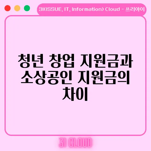 청년 창업 지원금과 소상공인 지원금의 차이