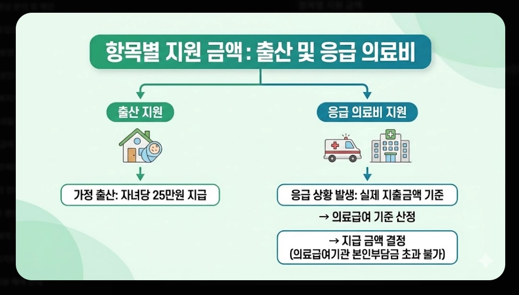 의료급여(요양비)신청, 지원대상, 지원항목, 지원금액