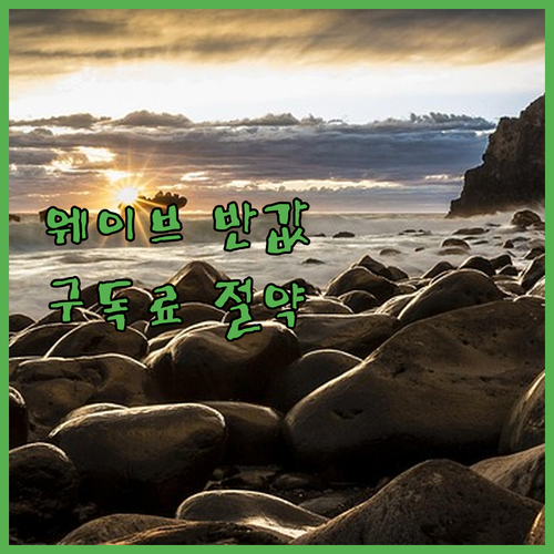 OTT 구독료 절약 웨이브 반값 할인..