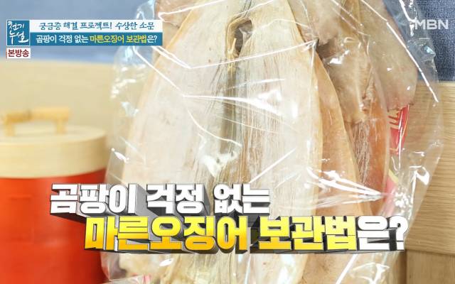 마른 오징어 하얀가루 곰팡이 마른오징어보관법