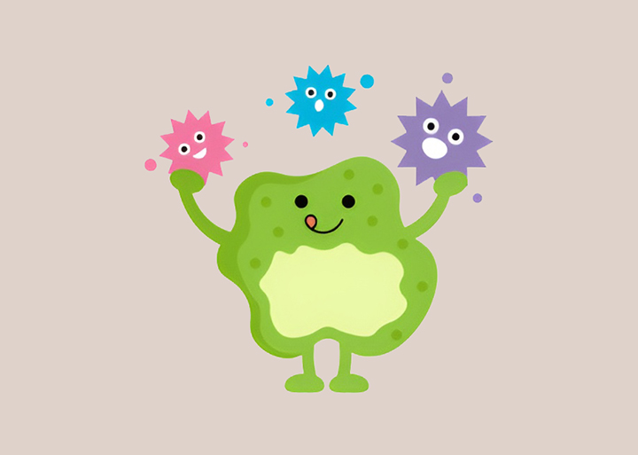 면역세포-기능-강화