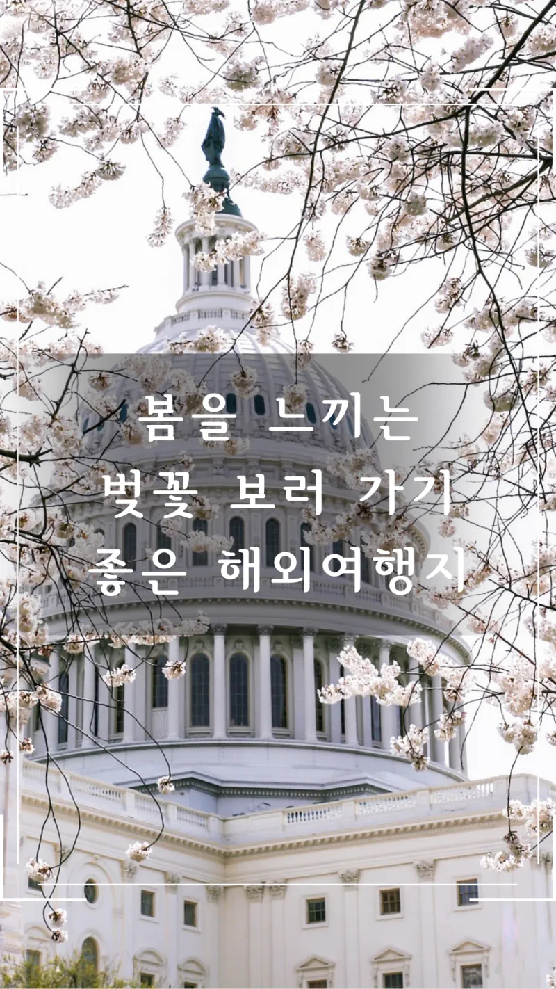 벚꽃 보러가기 해외 여행지 2탄