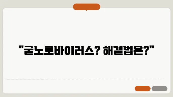 굴노로바이러스 증상과 해결방안 알아보시죠