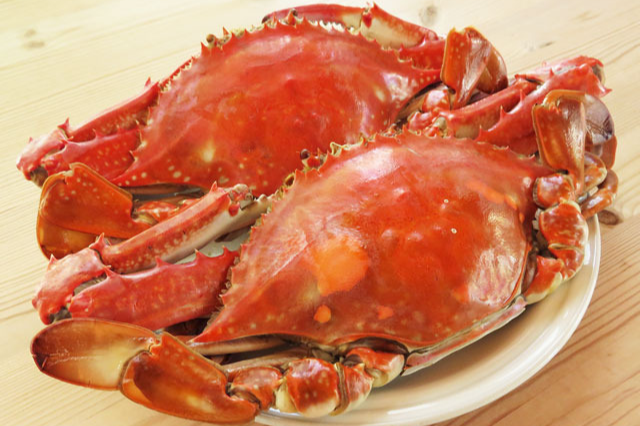 꽃게 찌는 방법