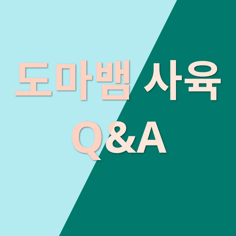 도마뱀 사육_4