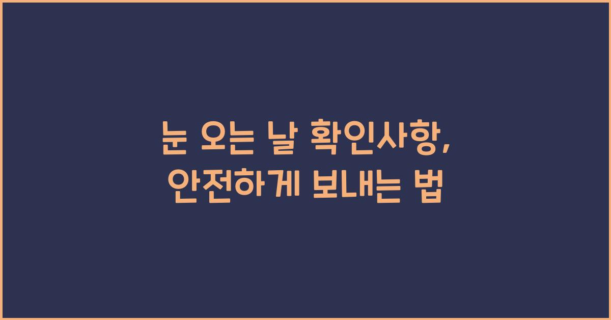 눈 오는 날 확인사항