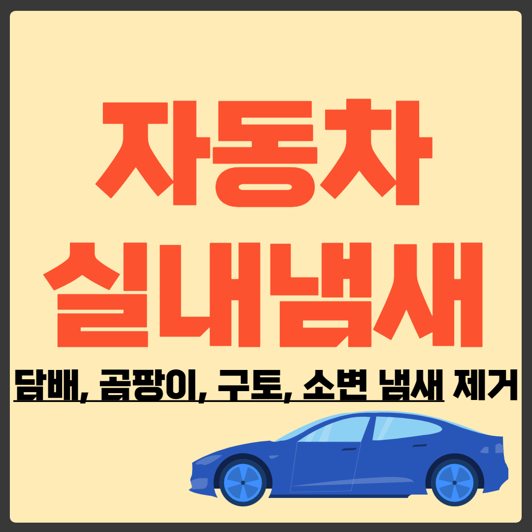 자동차 실내 냄새 제거