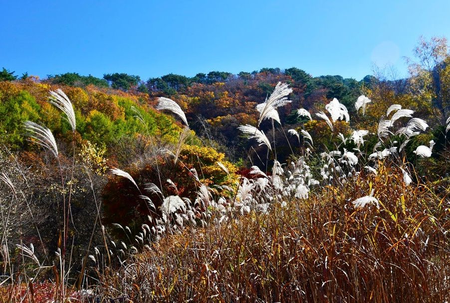 치악산자연휴양림