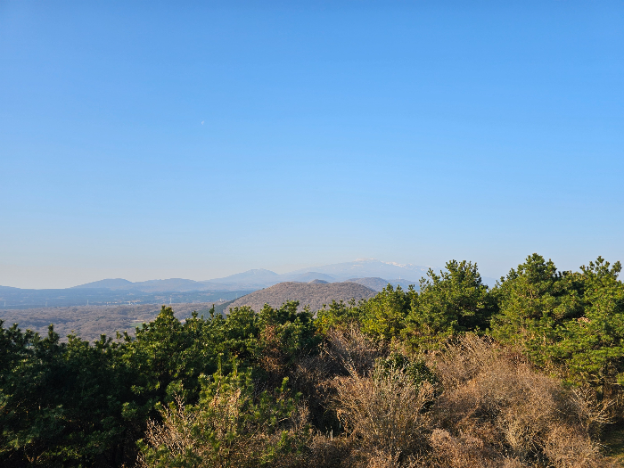 바농오름 풍경 사진