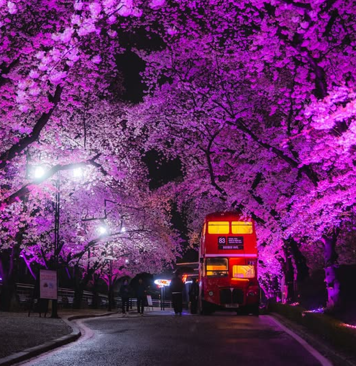 대구 이월드 자유이용권 할인