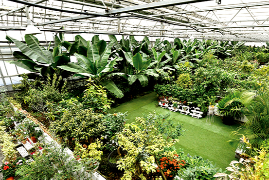 특색있고 아름다운 민간 정원 30선 추천 여행 - 25. 통영 동백커피식물원