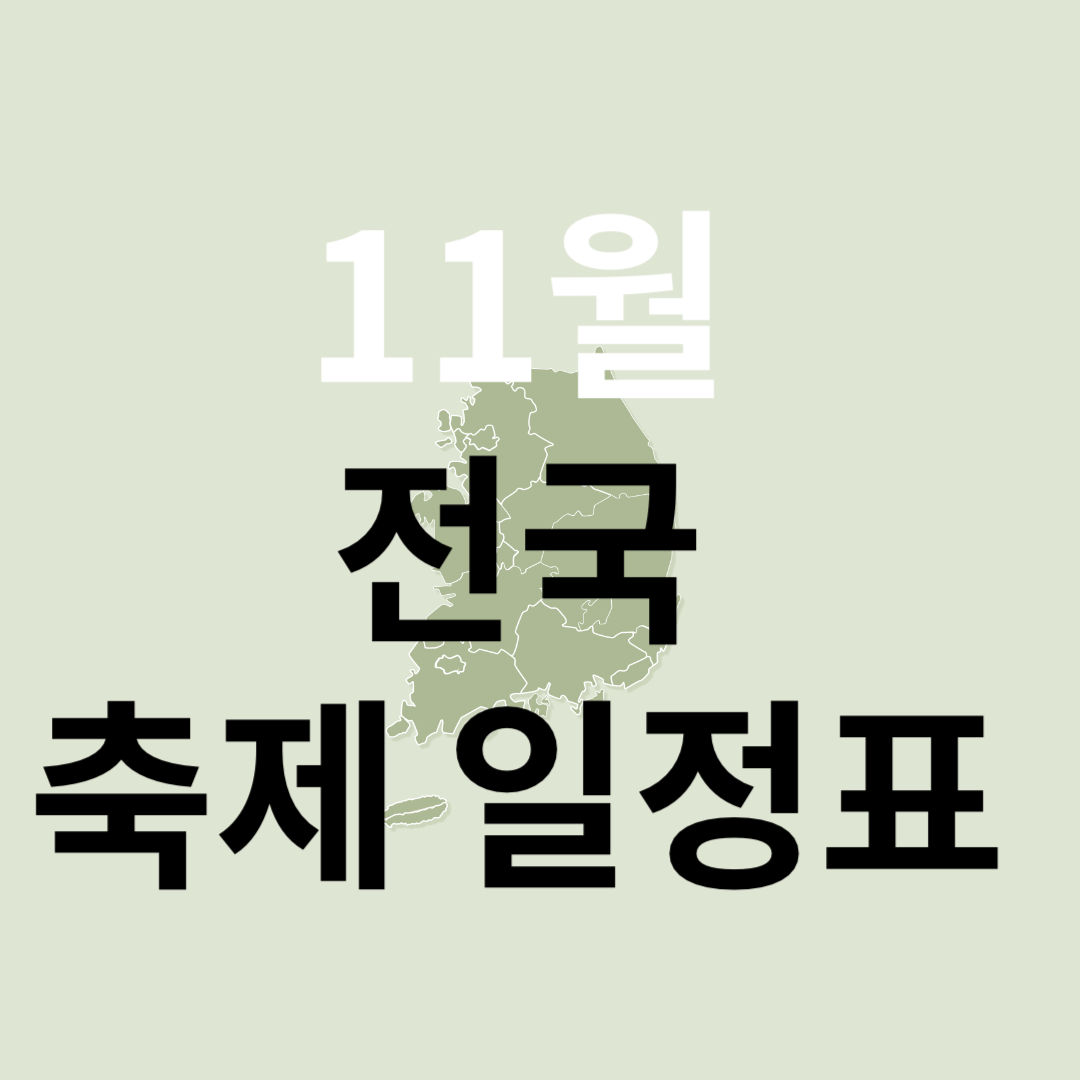 11월축제