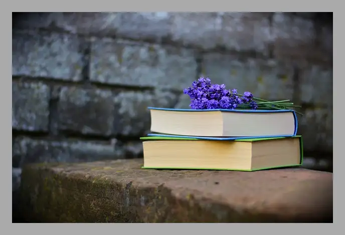 한강 채식주의자