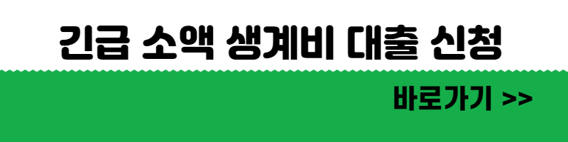 긴급 소액생계비 대출