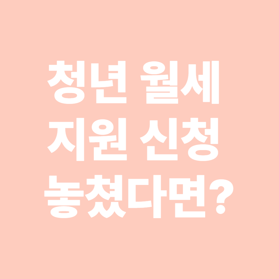 청년 월세 지원 신청 기간 놓쳤다면? 재신청 가능한 방법은?