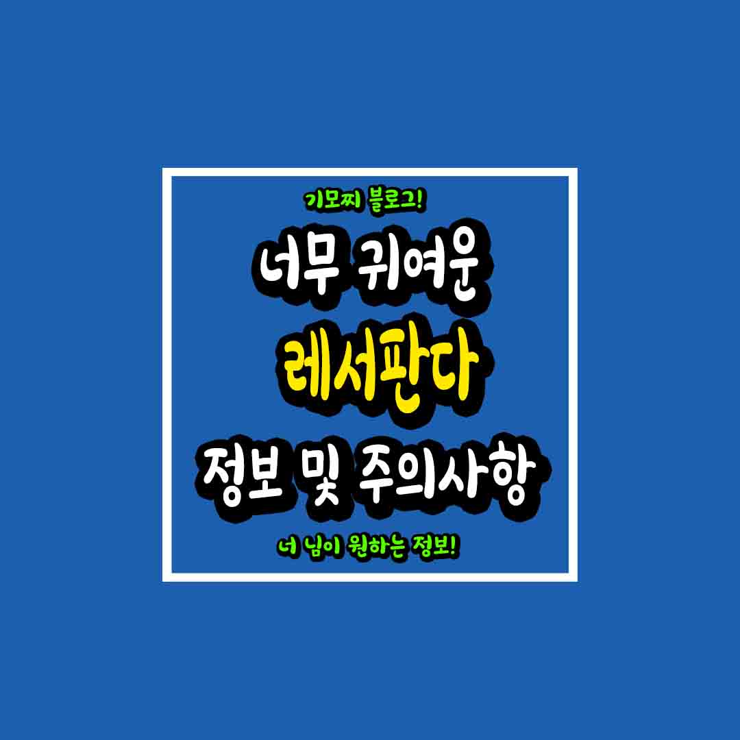 레서판다 썸네일