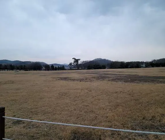 강화고인돌유적