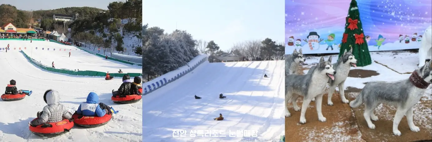 천안 상록 리조트 눈썰매장 사진