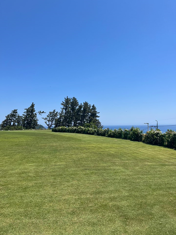 울릉도 카페 추천