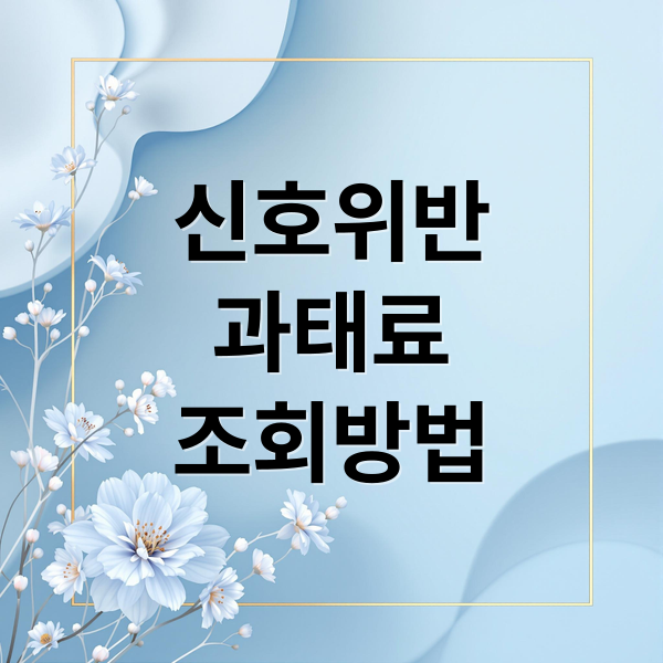 신호위반 과태료, 조회부터 이의신청까지