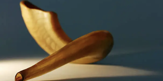 [쇼파르] Shofar:유대교 전통 뿔 나팔의 역사와 연주법
