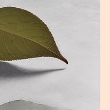 입술 포진 빨리낫는법