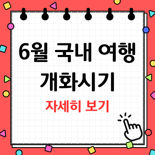 6월 국내 여행지 추천