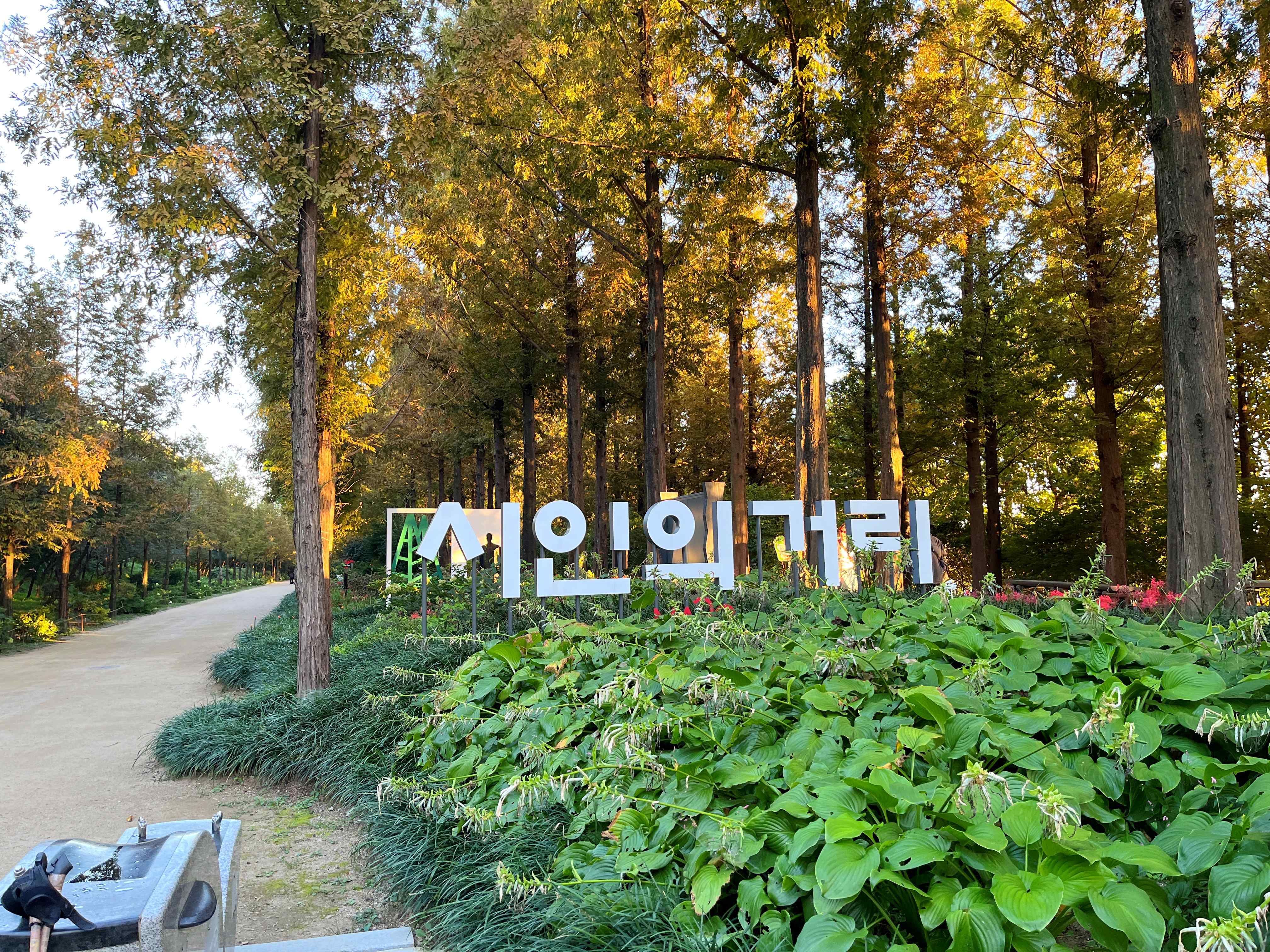 하늘공원 메타세쿼이아길 꽃무릇 시인의 거리