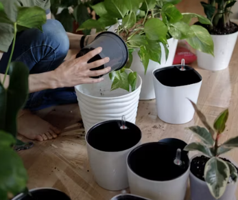 고지혈증 치료법 진단기준 예방