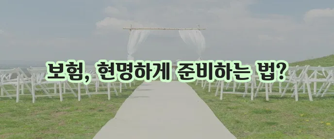 2024년 새해 보험 가입 가이드 꼭 확인하세요