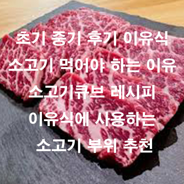 초기 중기 후기 이유식 소고기 먹어야 하는 이유 소고기큐브 레시피 이유식에 사용하는 소고기 부위 추천