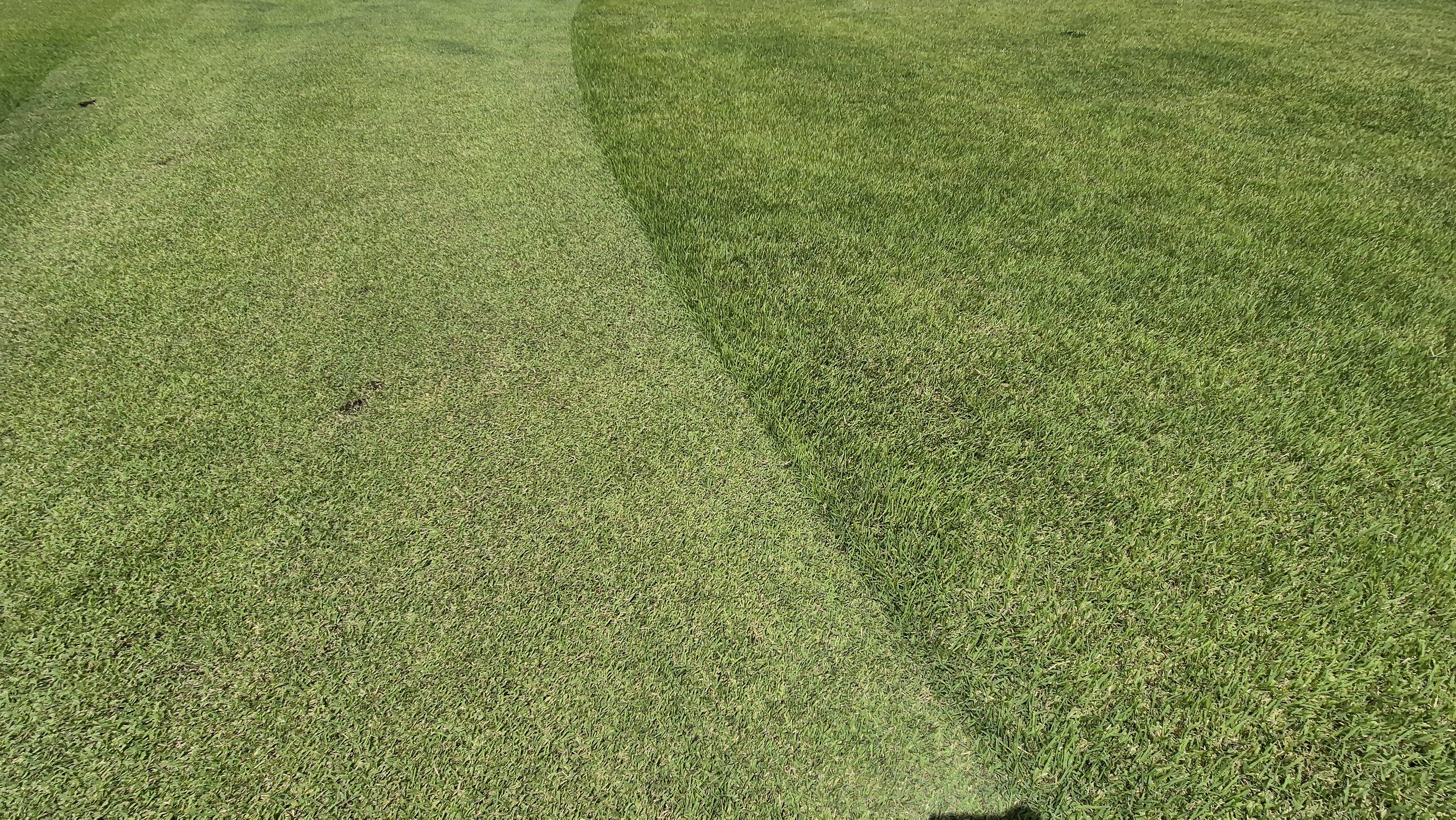 플라밍고cc 듄스-링크스 코스 라운드 후기