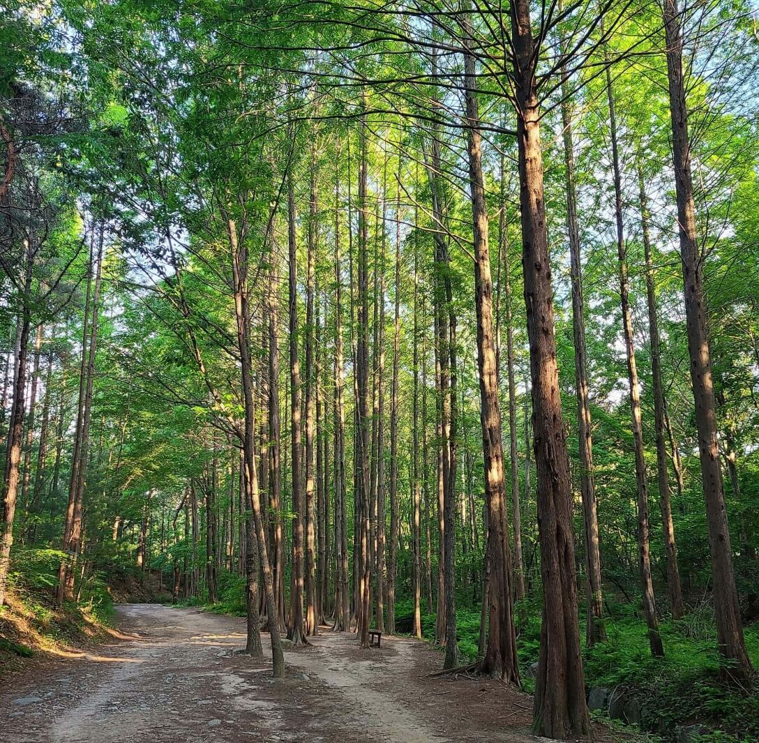 등산