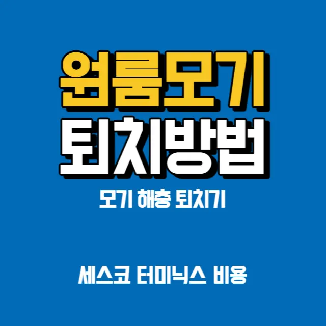 원룸-모기퇴치-방법