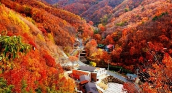 2025 민주지산 휴양림 단풍여행 추천 코스 ❘ 올해 단풍 시작&middot;절정 시기