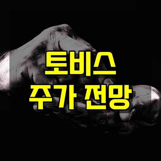 토비스 주가 전망
