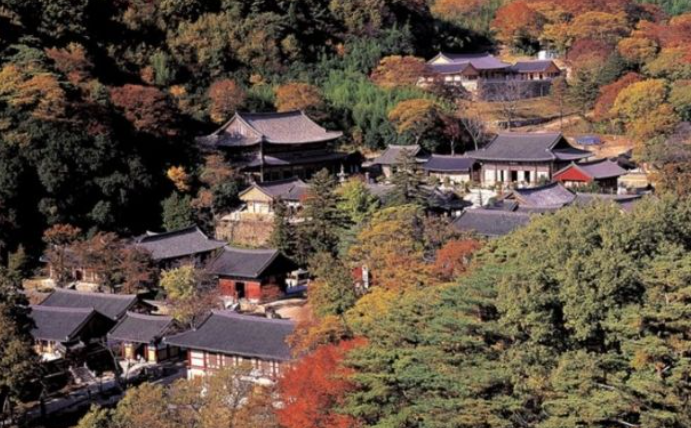 2025 지리산 단풍 절정 시기 & 실시간 현황 + 인기 등산코스 총정리