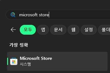 마이크로소프트 스토어