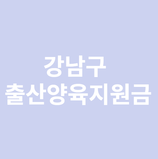 강남구 출산지원금