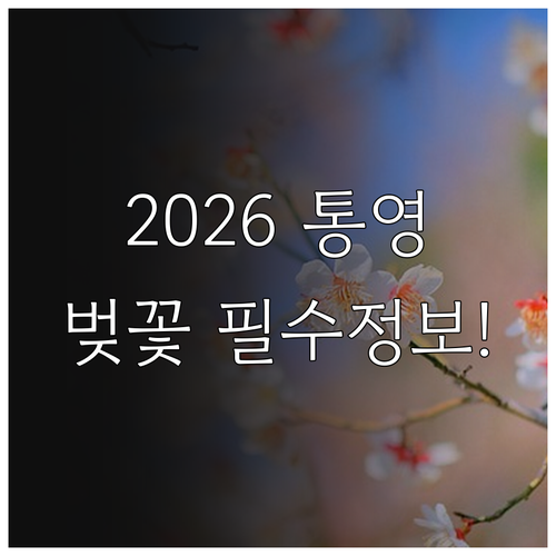 2026년 통영 벚꽃 개화 예상일 및..