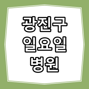 서울시 광진구 일요일 진료 병원과 진료시간