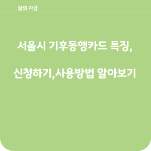서울시 기후동행카드 특징,신청하기,사용방법